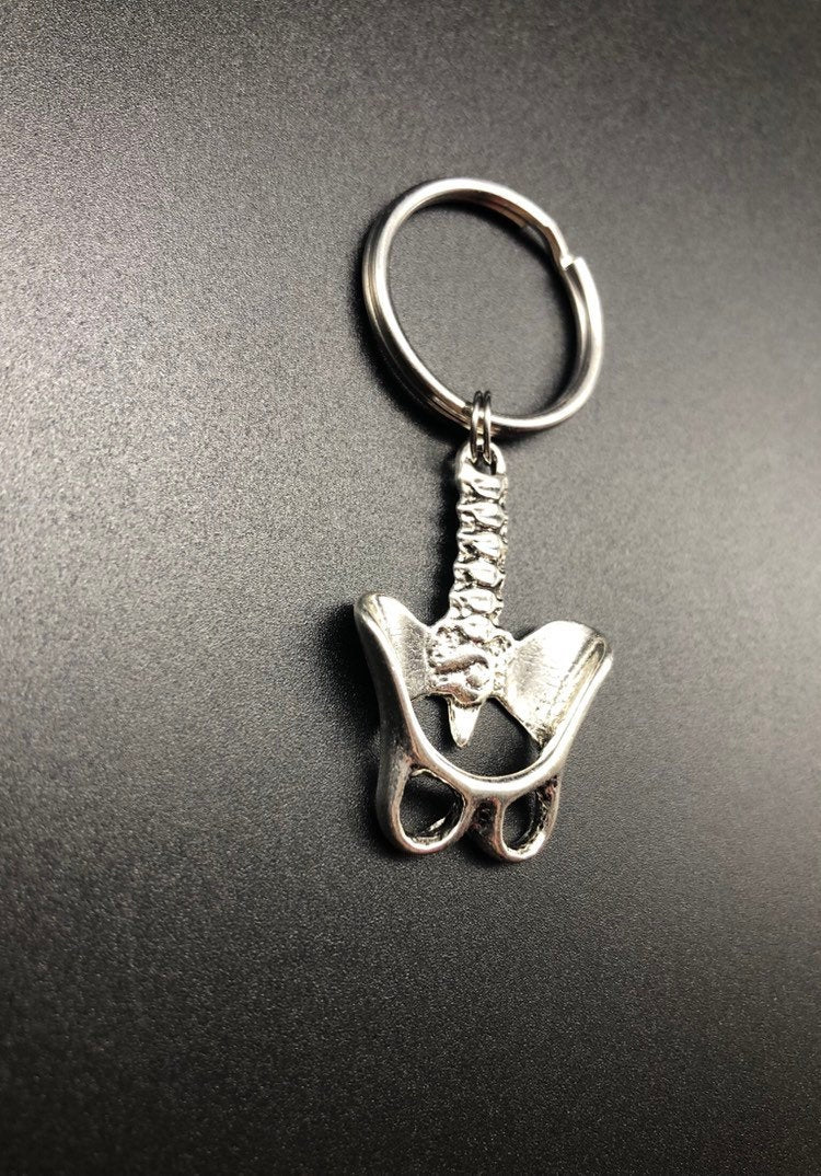 Spine and Pelvis Keychain, Chiropractor, Graduation Gift