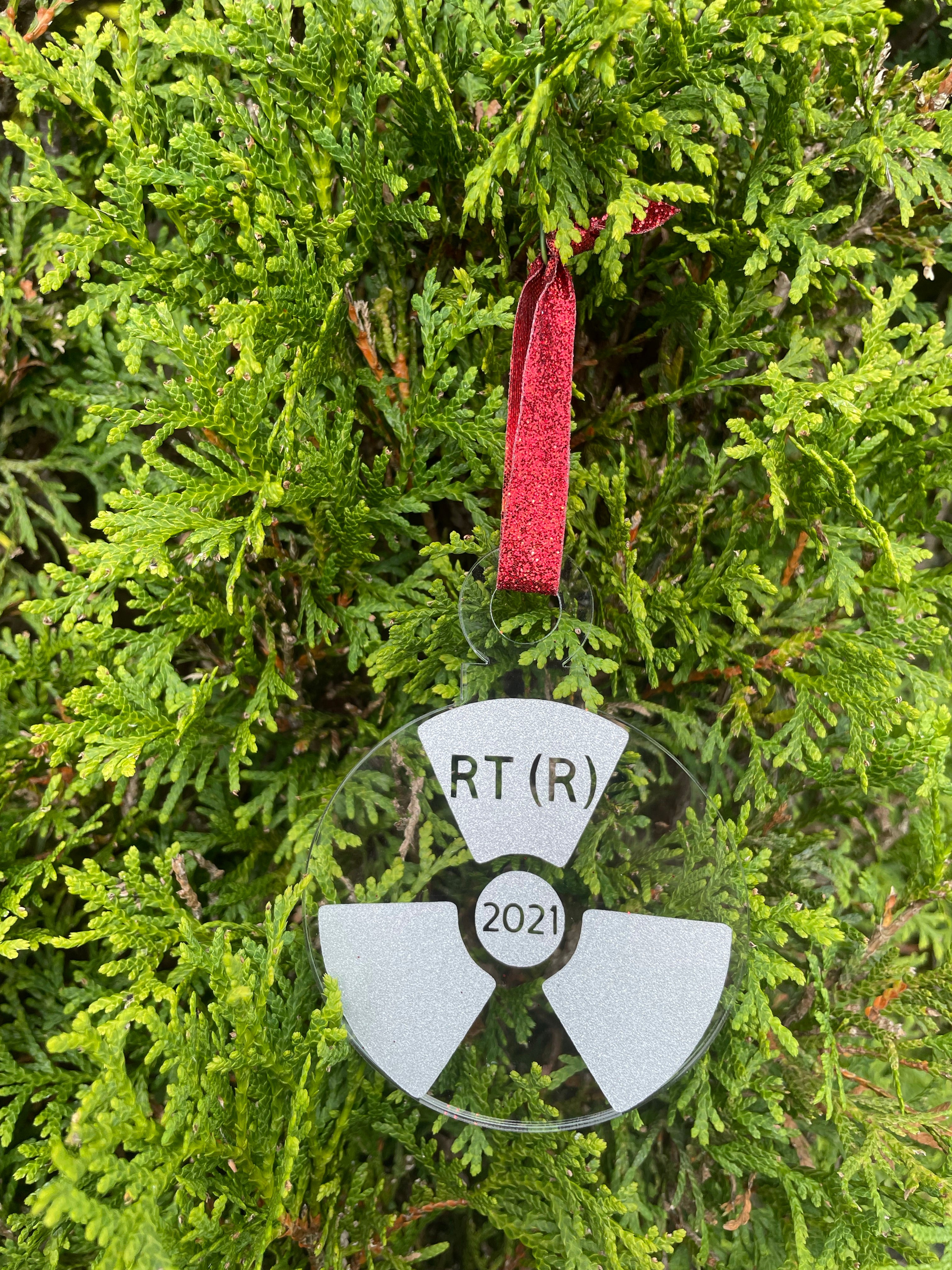 Rad Tech Christmas Ornament, Radiology, Ornament, Xray