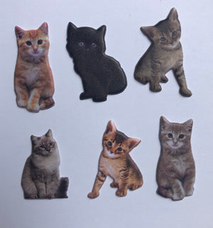 Realistic Cat Xray Markers, Rectangle, Glitter, Cat X-ray Markers, With 2 or 3 Initials